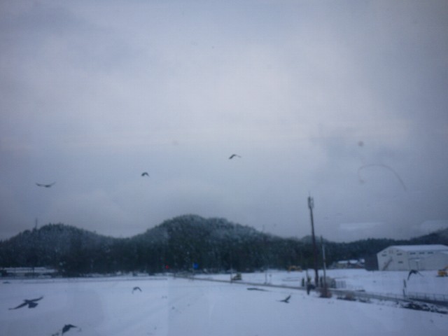 f:id:congiro:20220104131141j:plain