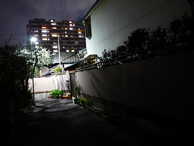 f:id:congiro:20220104131508j:plain