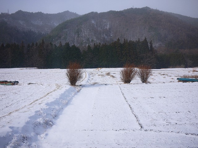 f:id:congiro:20220104131846j:plain