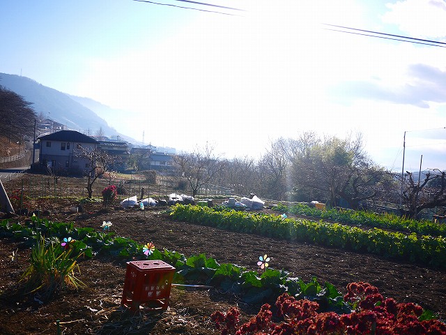 f:id:congiro:20220104131912j:plain