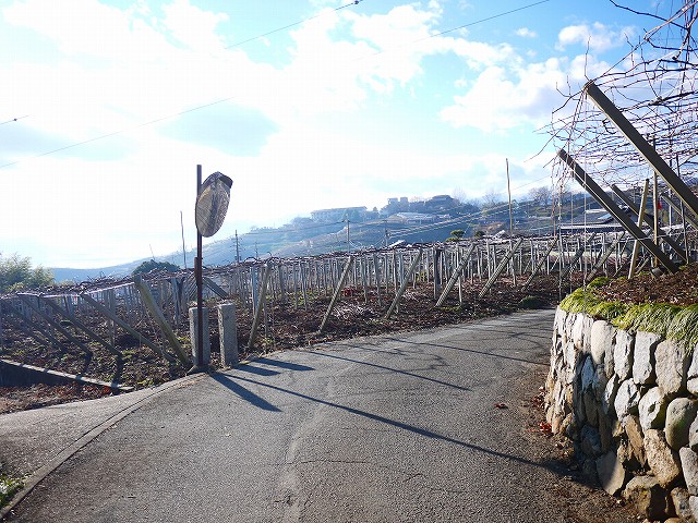f:id:congiro:20220104131918j:plain