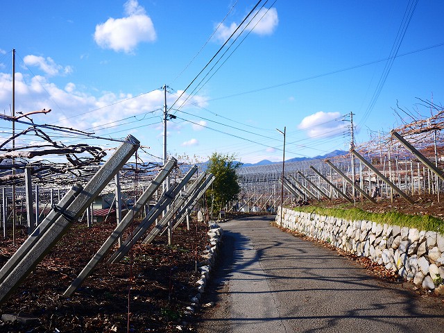 f:id:congiro:20220104131924j:plain