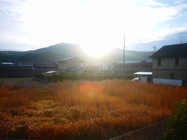 f:id:congiro:20220119141614j:plain