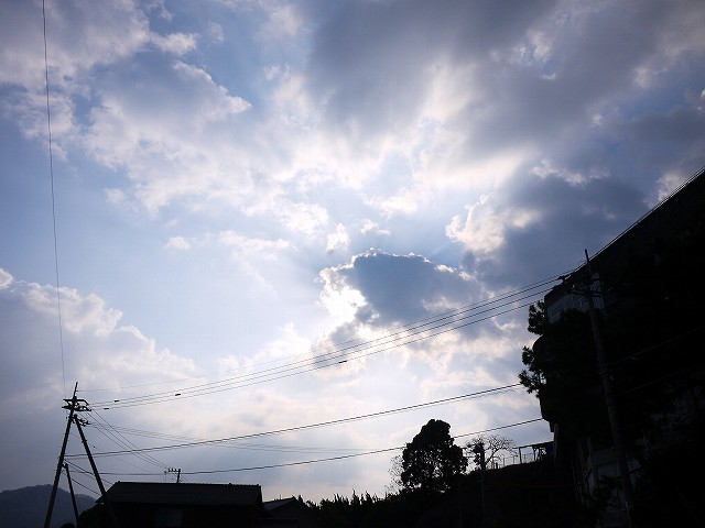 f:id:congiro:20220119162824j:plain