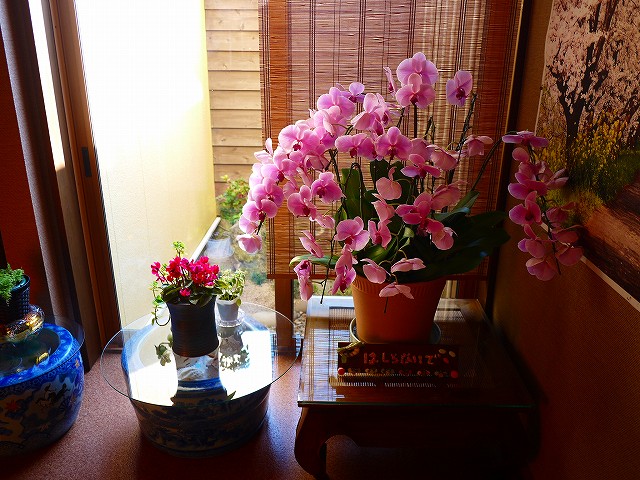 f:id:congiro:20220209002551j:plain