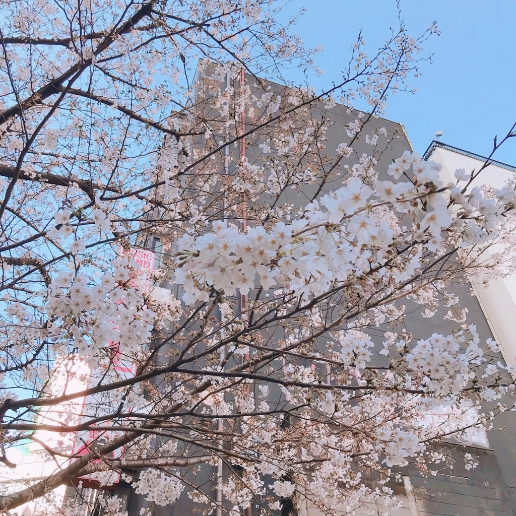 f:id:coni-coni:20180322182617j:plain f:id:coni-coni:20180322182617j:plain