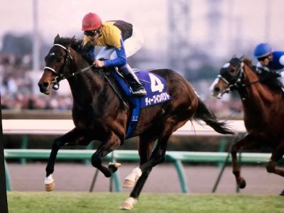 ディープインパクトと武豊騎手 - 本とパンのある暮らし