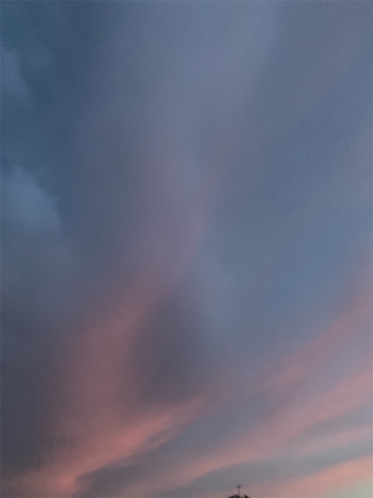 f:id:coniroxaiiro:20190813163913j:image f:id:coniroxaiiro:20190813163913j:image