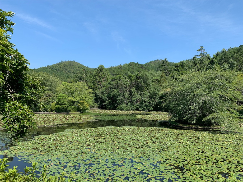 f:id:coniroxaiiro:20190814194403j:image f:id:coniroxaiiro:20190814194403j:image