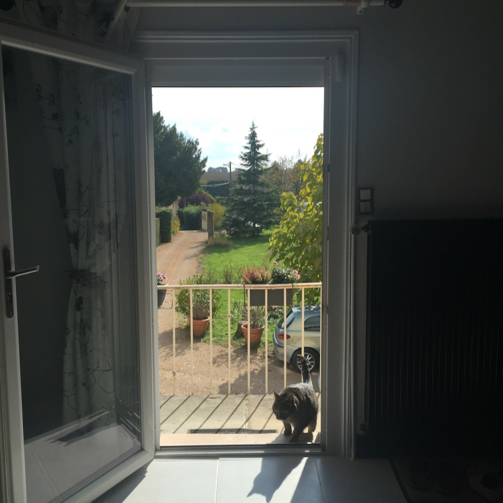 f:id:connectingdots:20161117230729j:image f:id:connectingdots:20161117230729j:image
