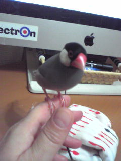 f:id:connectronkobe:20121101124127j:image:w360