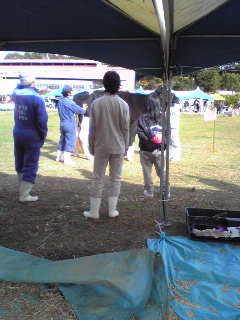 f:id:connectronkobe:20121111092729j:image:w360