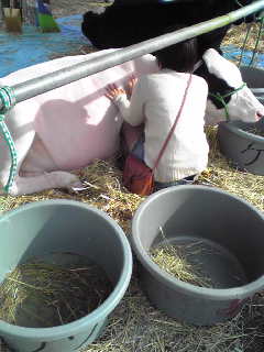 f:id:connectronkobe:20121111092730j:image:w360