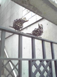 f:id:connectronkobe:20121202183102j:image:w360