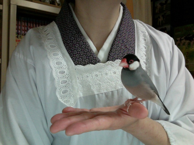 f:id:connectronkobe:20121215173739j:image:w300