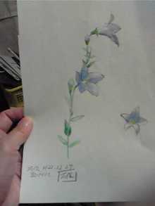 f:id:connectronkobe:20130413220239j:image:w360