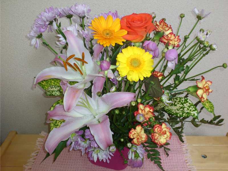 f:id:connectronkobe:20130414180018j:image:w360