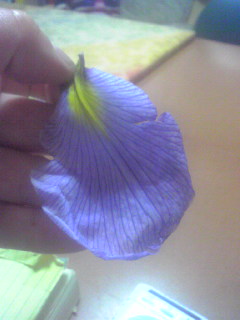 f:id:connectronkobe:20130425182248j:image:w300