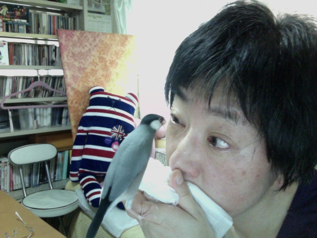 f:id:connectronkobe:20130616163528j:image:w300