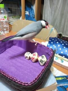 f:id:connectronkobe:20130702190822j:image:w360