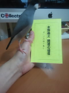 f:id:connectronkobe:20130711110129j:image:w360