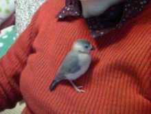 f:id:connectronkobe:20130811190210j:image:w360