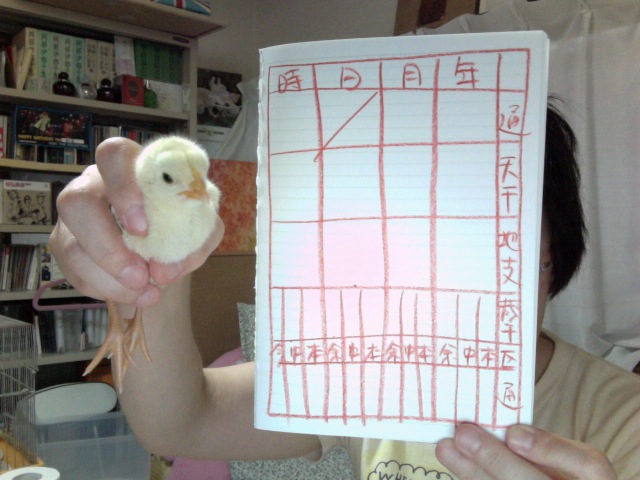 f:id:connectronkobe:20130822170456j:image:w360