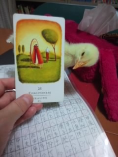 f:id:connectronkobe:20130828164815j:image:w360