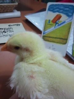 f:id:connectronkobe:20130828171143j:image:w360