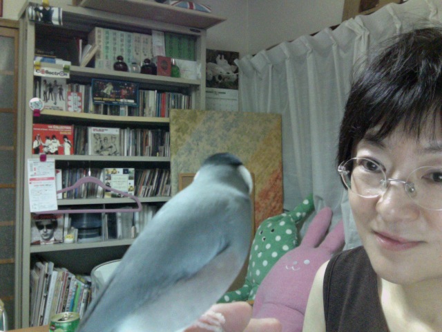 f:id:connectronkobe:20130929192539j:image:w360