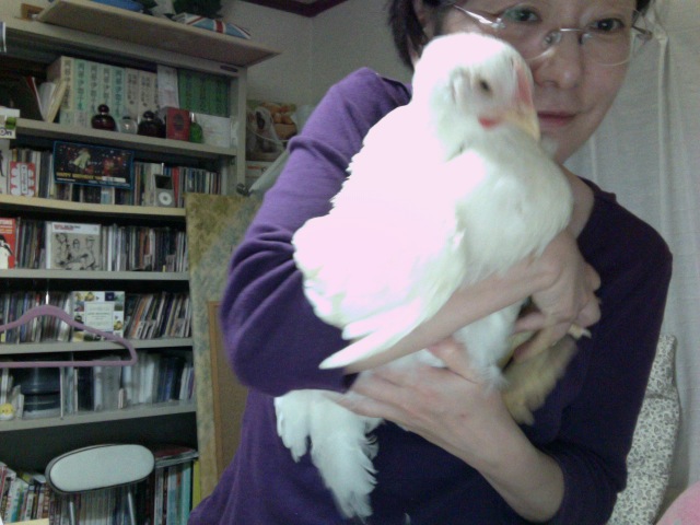 f:id:connectronkobe:20131015222013j:image:w400