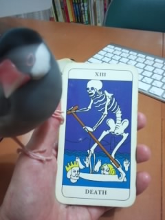 f:id:connectronkobe:20131022124109j:image:w360