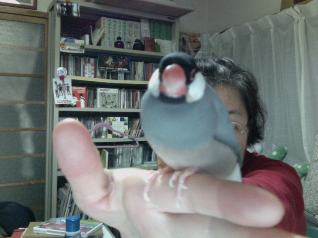 f:id:connectronkobe:20131106215049j:image:w360