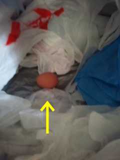 f:id:connectronkobe:20140124120335j:image:w360