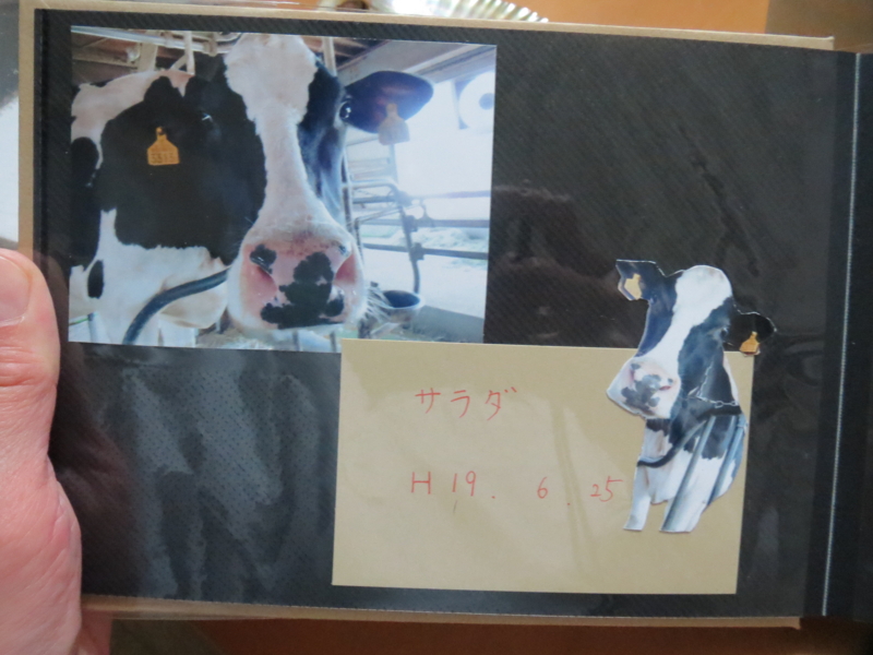 f:id:connectronkobe:20140316185635j:image:w400