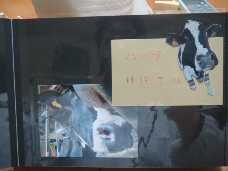 f:id:connectronkobe:20140316185645j:image:w400