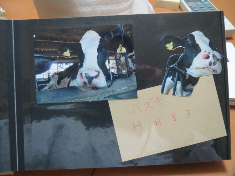 f:id:connectronkobe:20140316185706j:image:w400