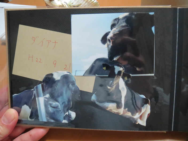 f:id:connectronkobe:20140316185717j:image:w400