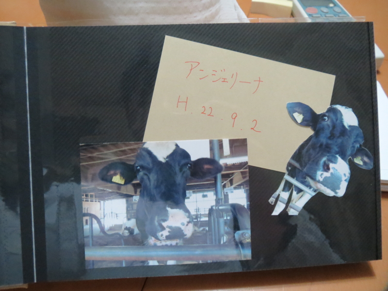 f:id:connectronkobe:20140316185729j:image:w400