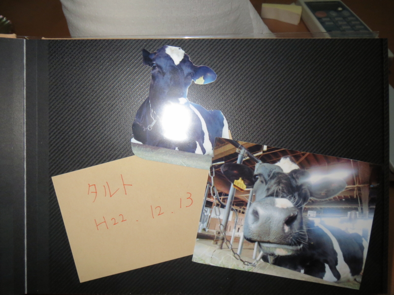 f:id:connectronkobe:20140316185752j:image:w400