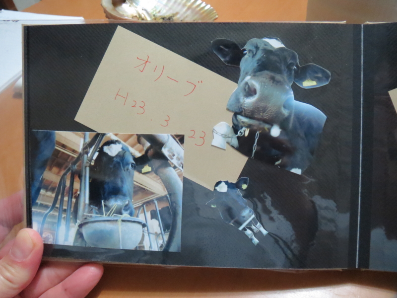 f:id:connectronkobe:20140316185805j:image:w400