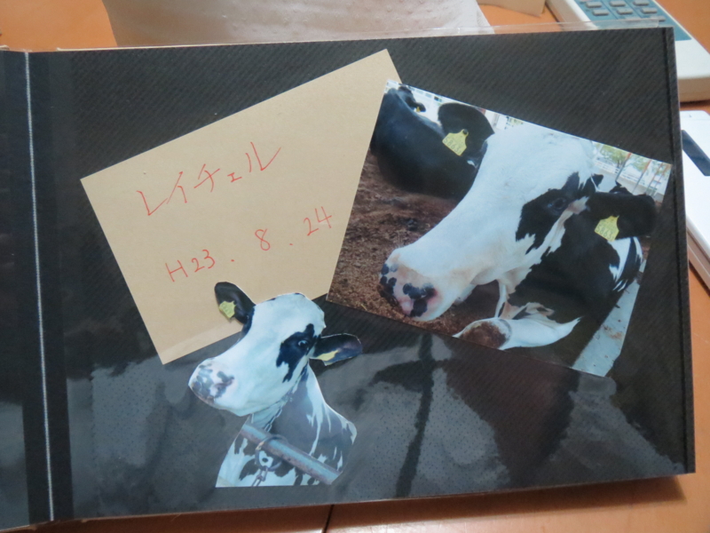 f:id:connectronkobe:20140316185813j:image:w400