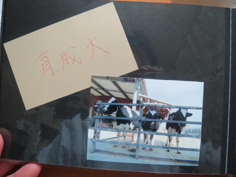 f:id:connectronkobe:20140316185848j:image:w400