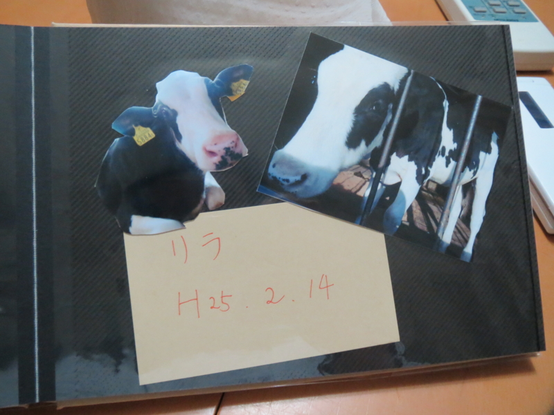 f:id:connectronkobe:20140316185919j:image:w400