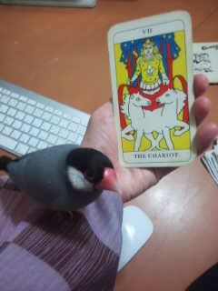 f:id:connectronkobe:20140616092748j:image:w360