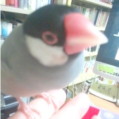 f:id:connectronkobe:20140828213843j:image:w120