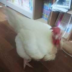 f:id:connectronkobe:20140907165124j:image:w120