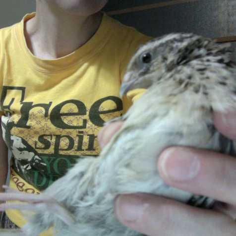 f:id:connectronkobe:20140918043938j:image:w120