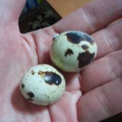 f:id:connectronkobe:20140919153937j:image:w120