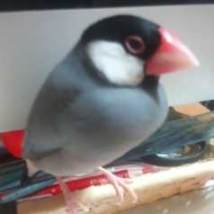 f:id:connectronkobe:20140926202420j:image:w120